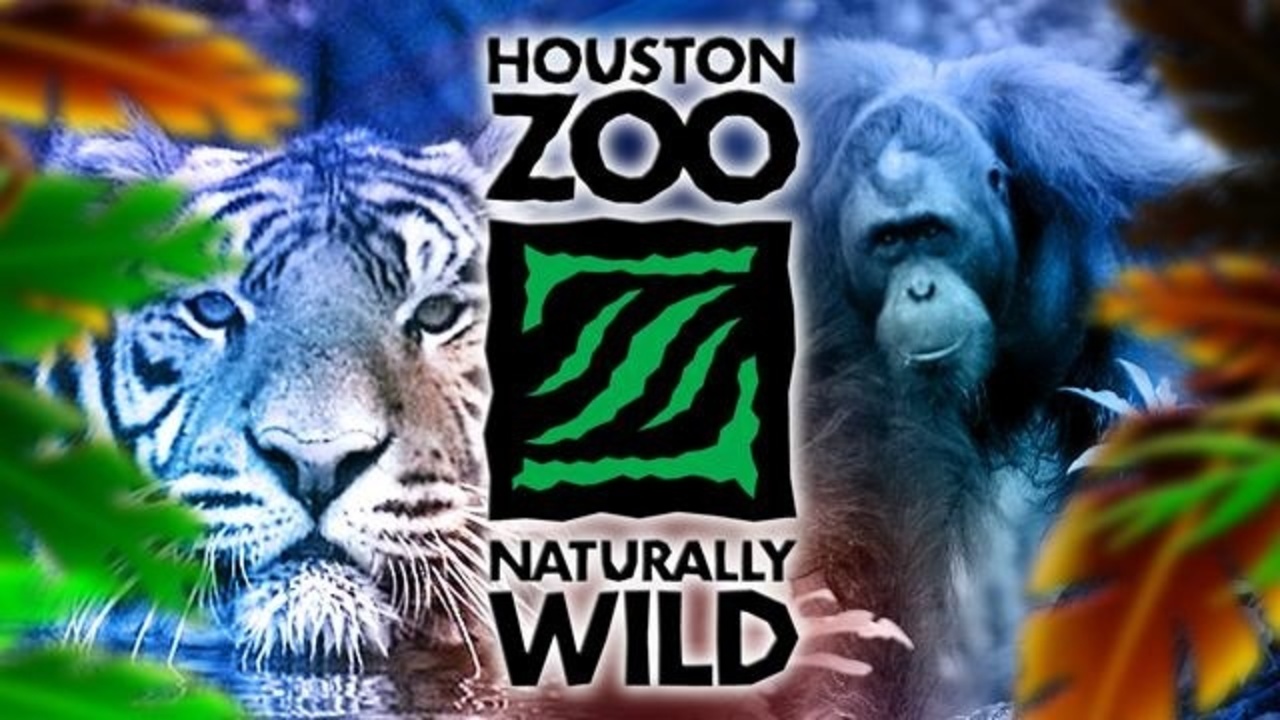 Houston Zoo experiences Labor Day power outage