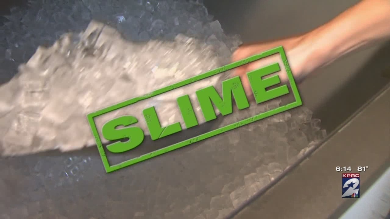 Restaurant Report Card Slime in the ice machine