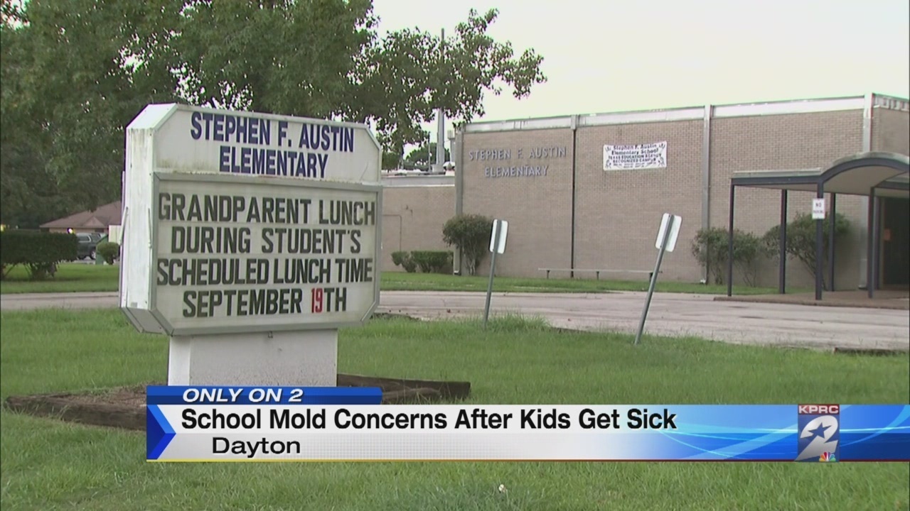 dayton isd