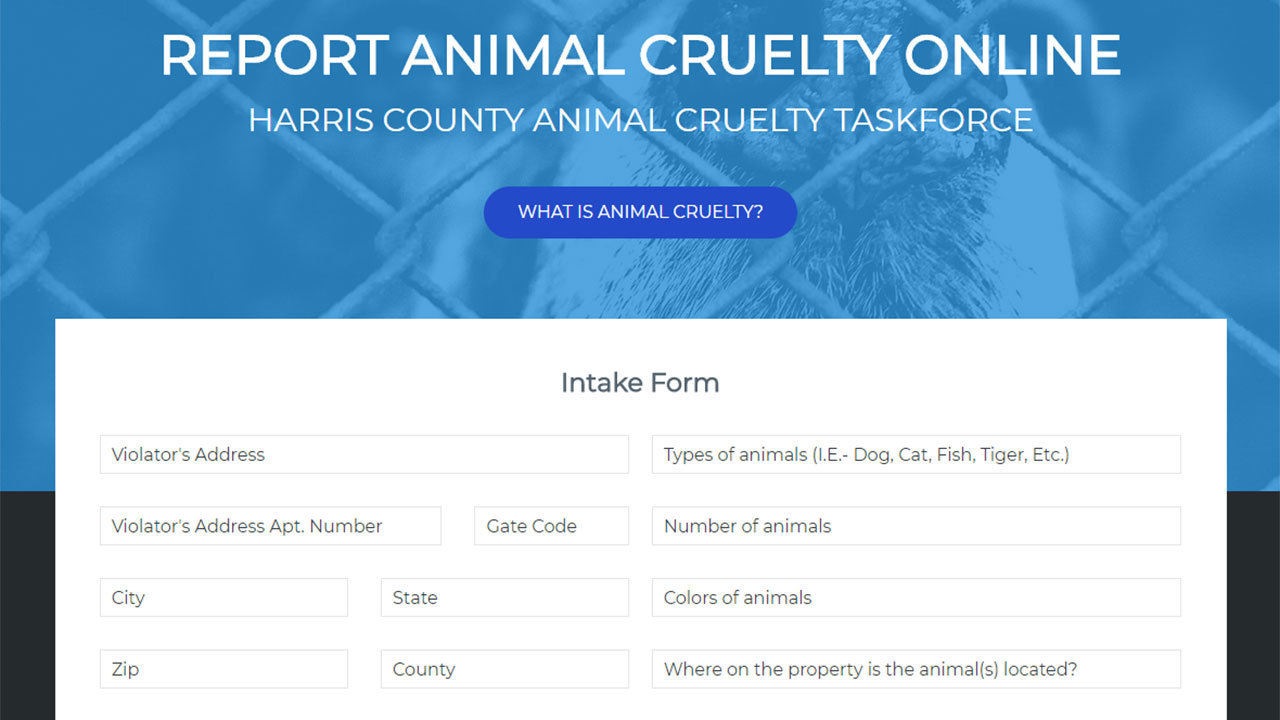 Animal abuse task force, hotline, website launched in Harris...
