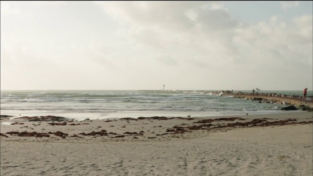 The Texas Bucket List San Jose Island In Port Aransas