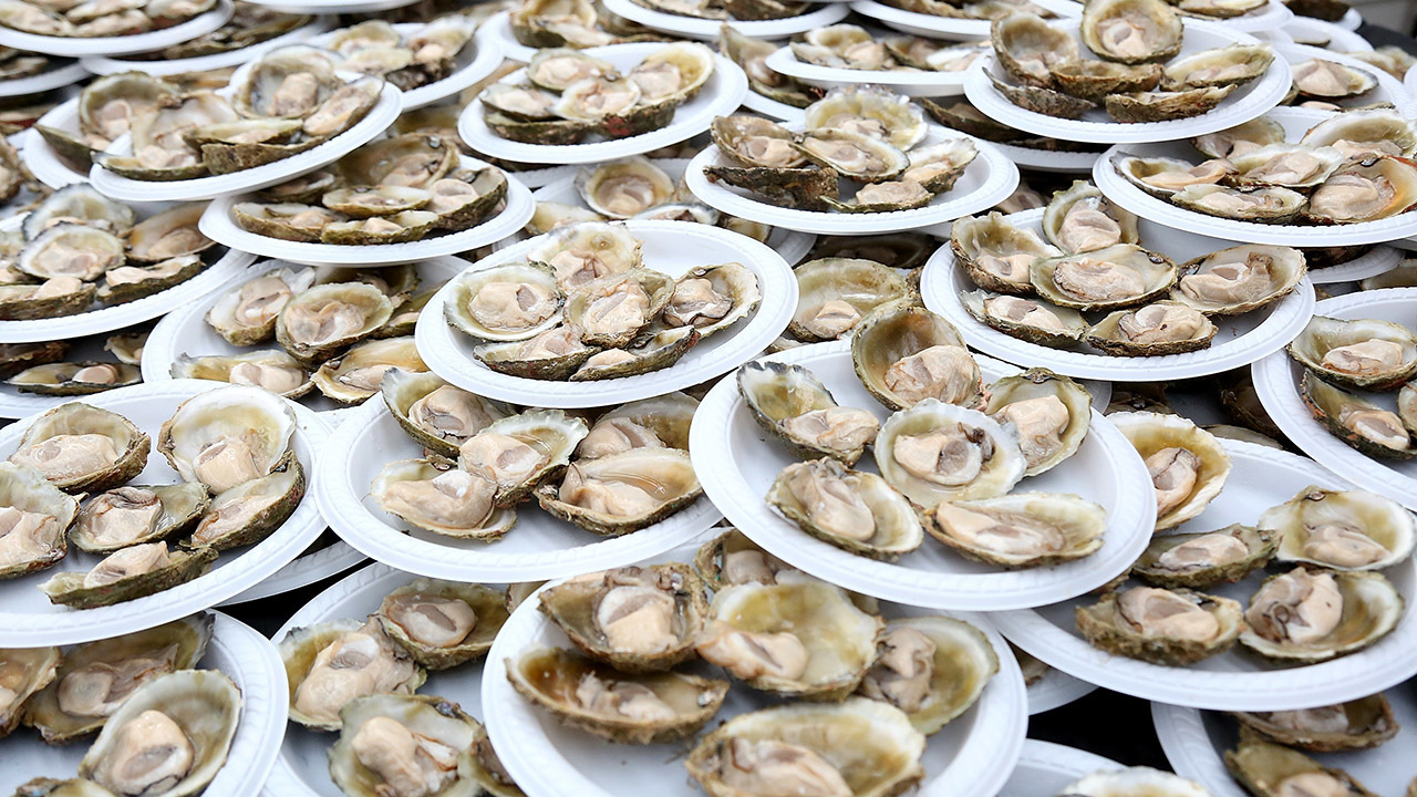 New oyster reef being installed in Galveston Bay