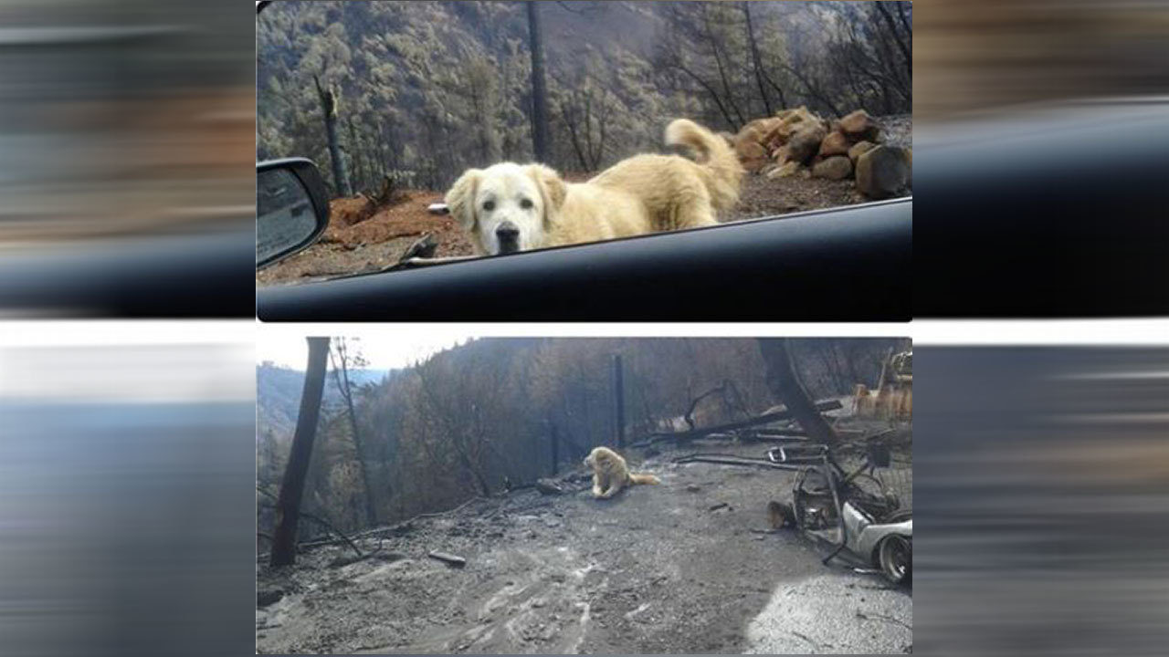 4. Подготовьте место для эвакуации