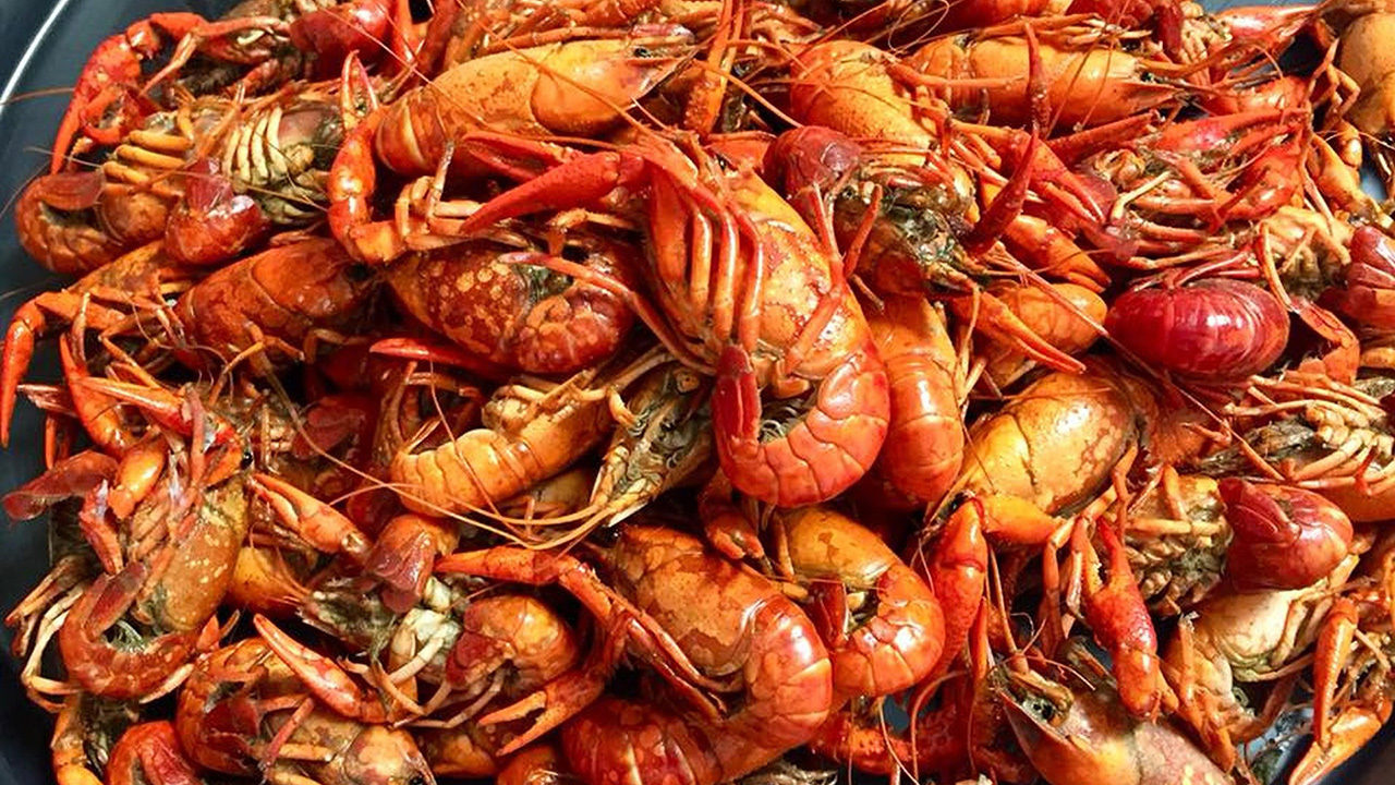 Crawfish season is upon us This is where Houston gets its...