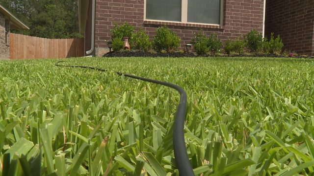 Putting mold mildew removers to the test Which products are