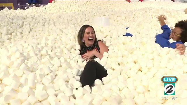 A trip to Candytopia Houston | HOUSTON LIFE | KPRC 2